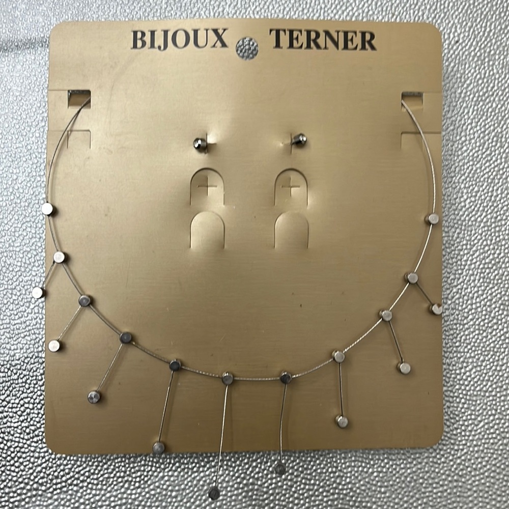 Bijoux Terner Silver Necklace & Earrings Set (NEW)
